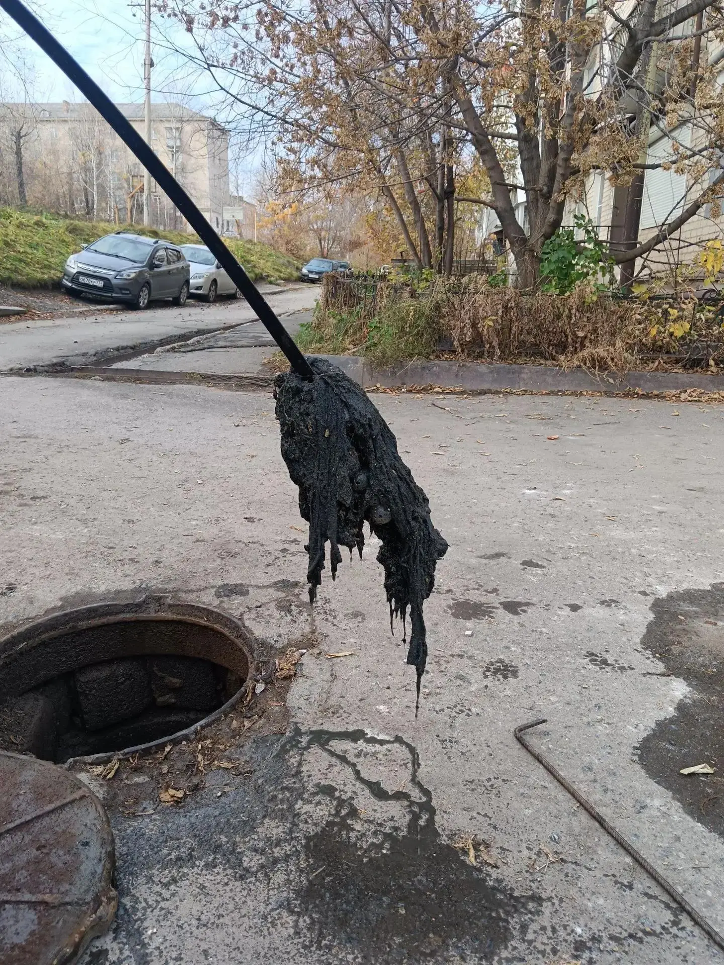Встречайте нового участника нашего ежедневного марафона!