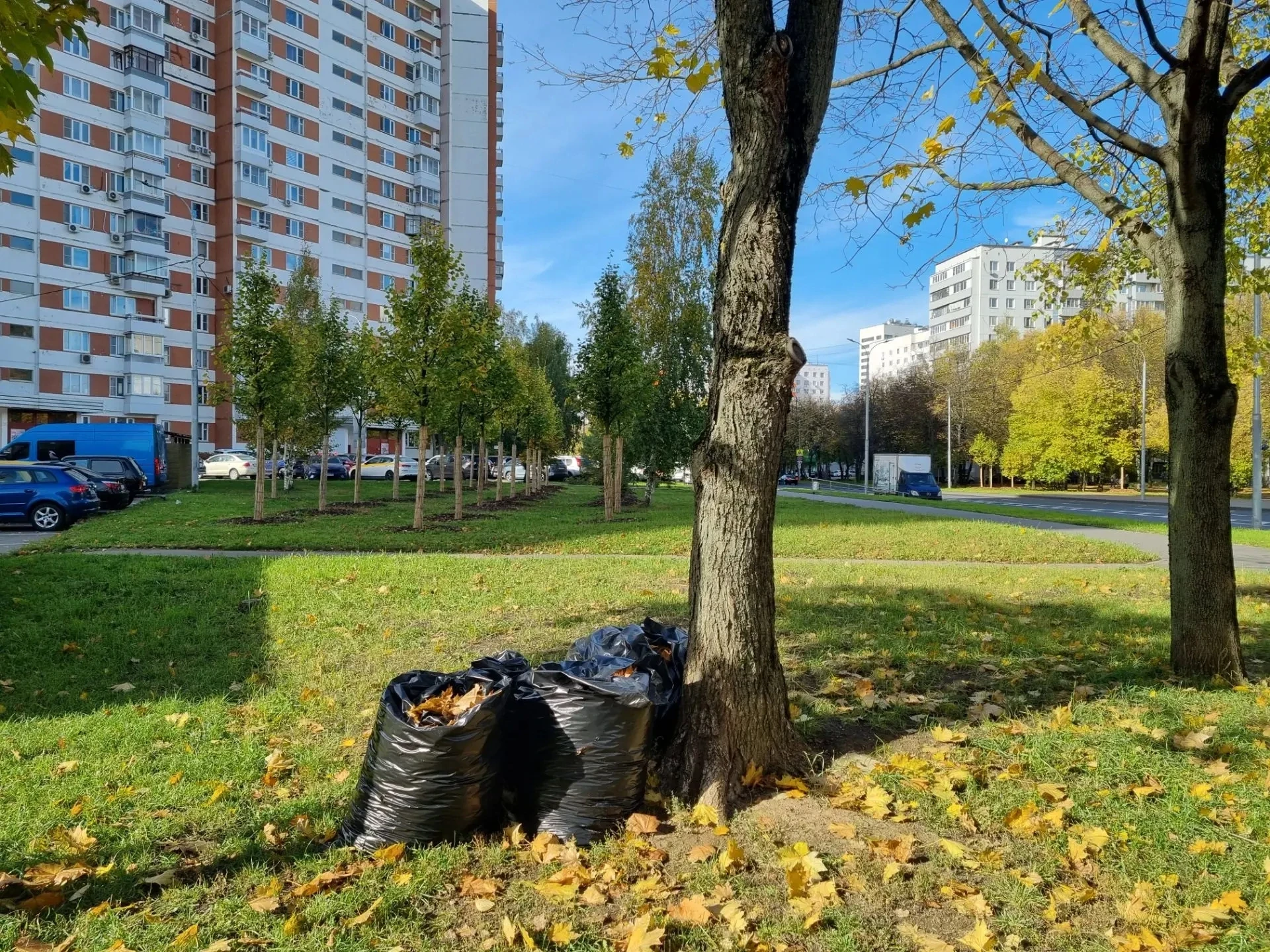 ☀ Доброе утро, Южное Тушино! Всем продуктивной недели!