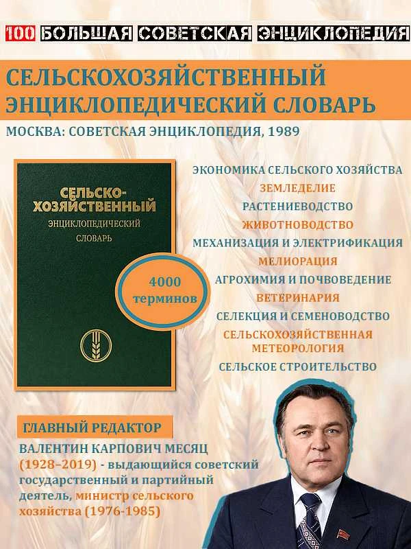 🌾 Ежегодно 15 октября отмечается Международный день сельских женщин, призванный подчер...