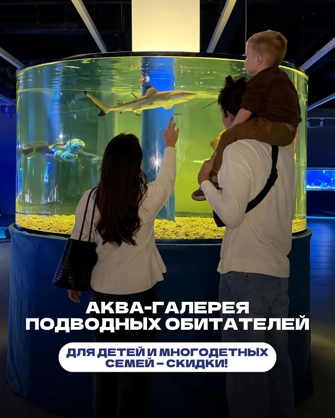 Аква-галерея «Подводный мир» в Набережных Челнах!