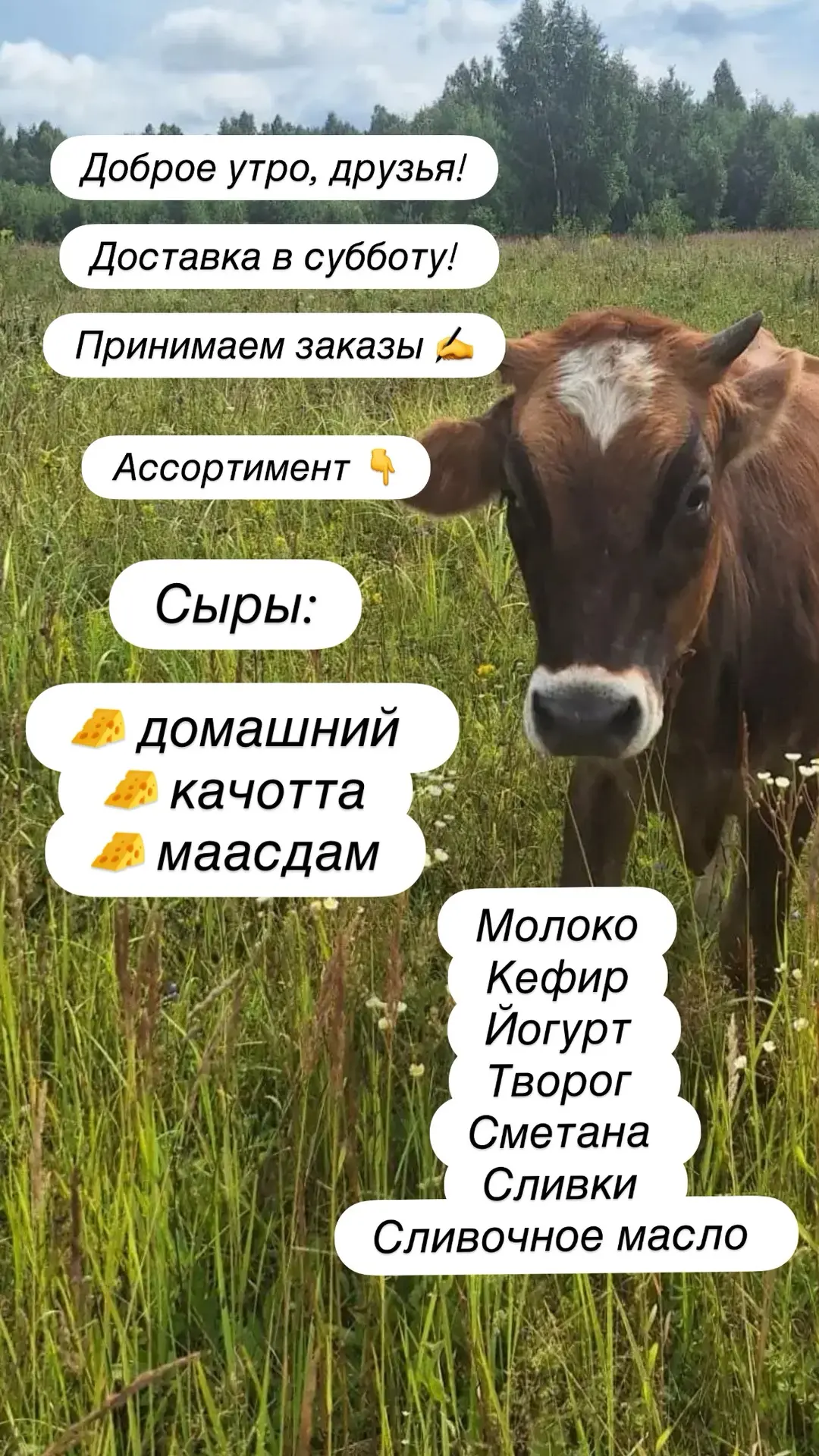 ДОСТАВКА УЖЕ ЗАВТРА!!!!