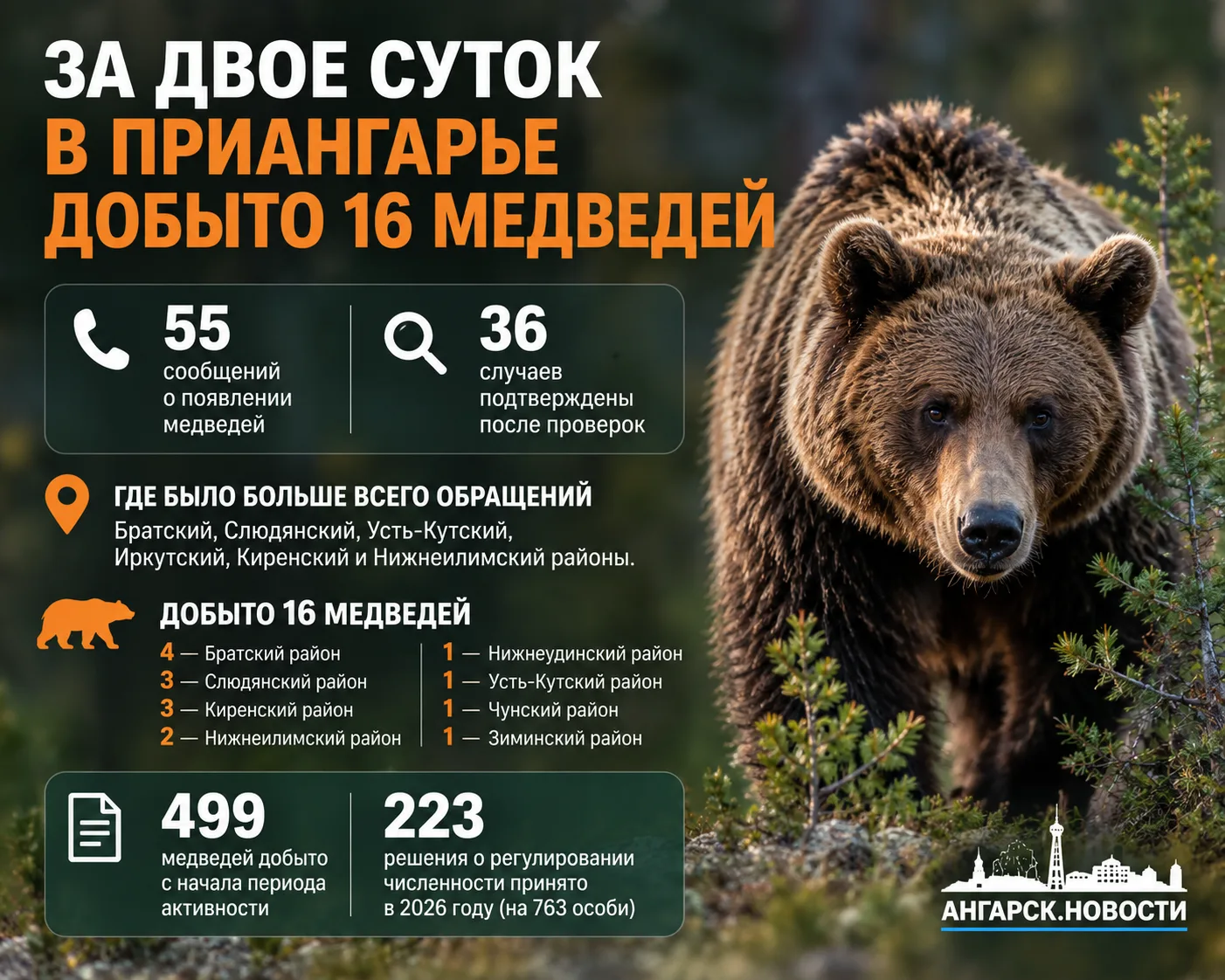За двое суток в Иркутской области добыли 16 медведей