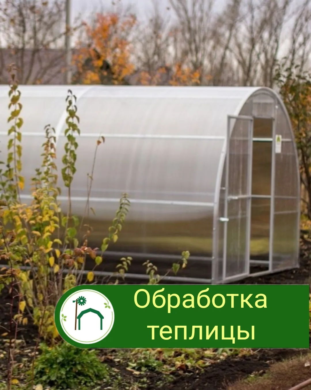 🍂 ОСЕННЯЯ ОБРАБОТКА ТЕПЛИЦЫ — ЗАЛОГ УСПЕШНОГО СЕЗОНА!