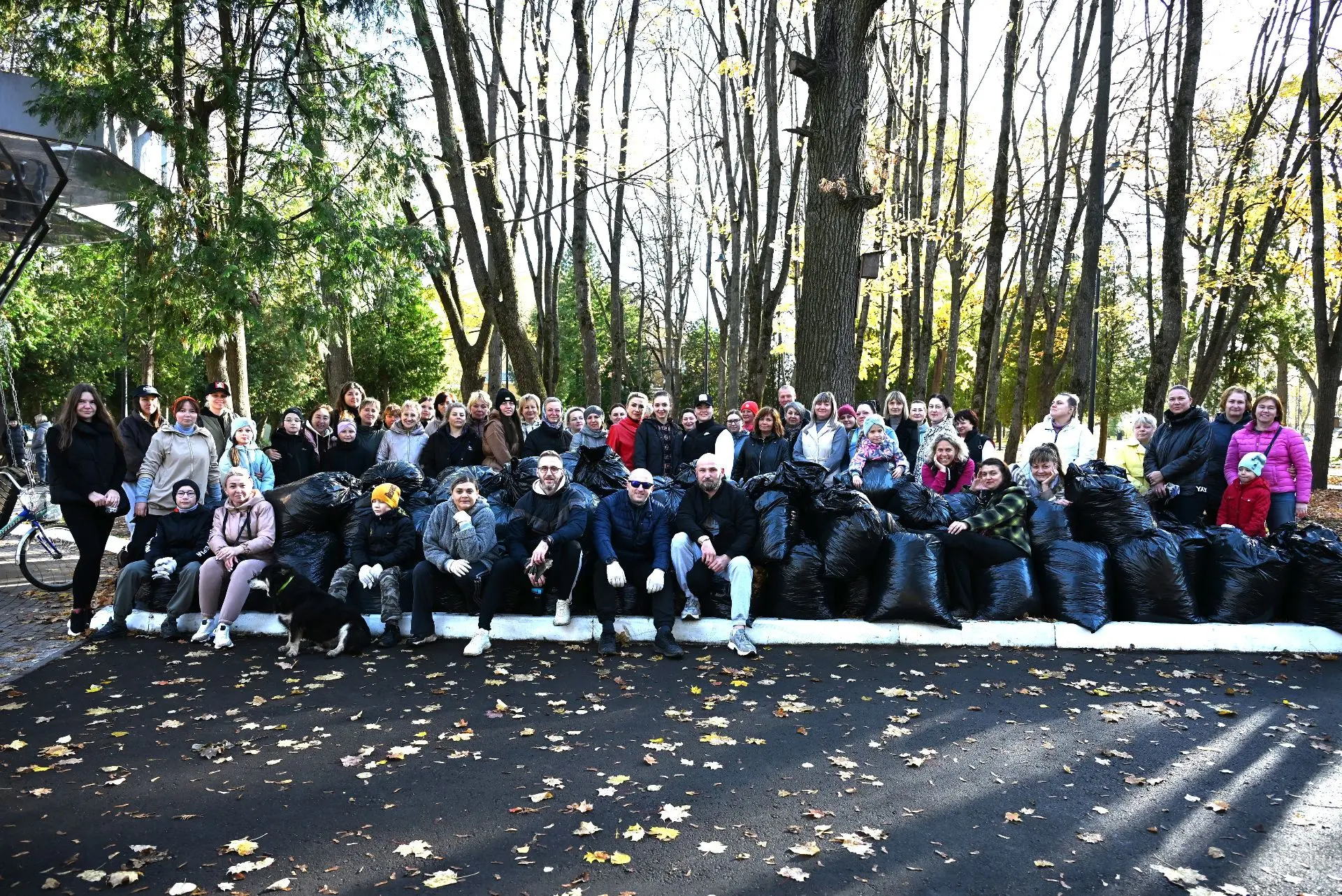 🍁Осень, осень, лес остыл и листья сбросил…