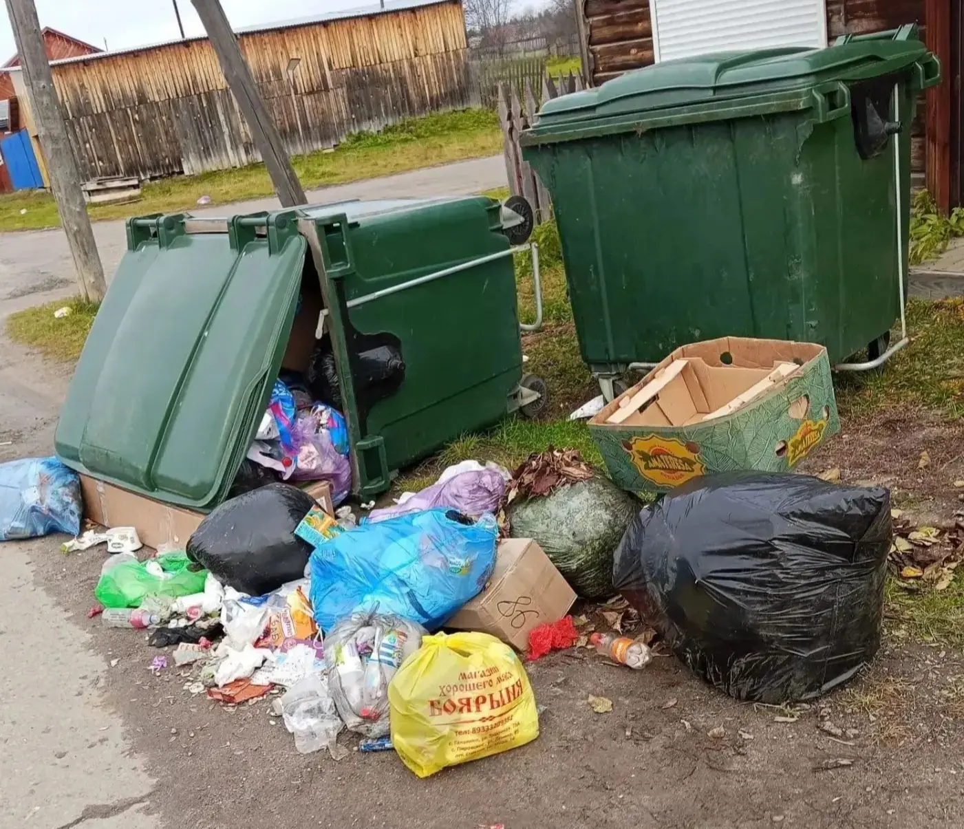 Погром на мусорных площадках в Пировском