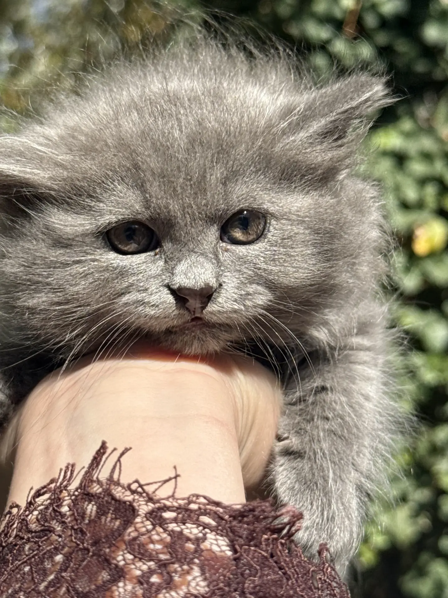 ☁️ Вы только посмотрите на эту маленькую Грозовую тучку! 🥹💗