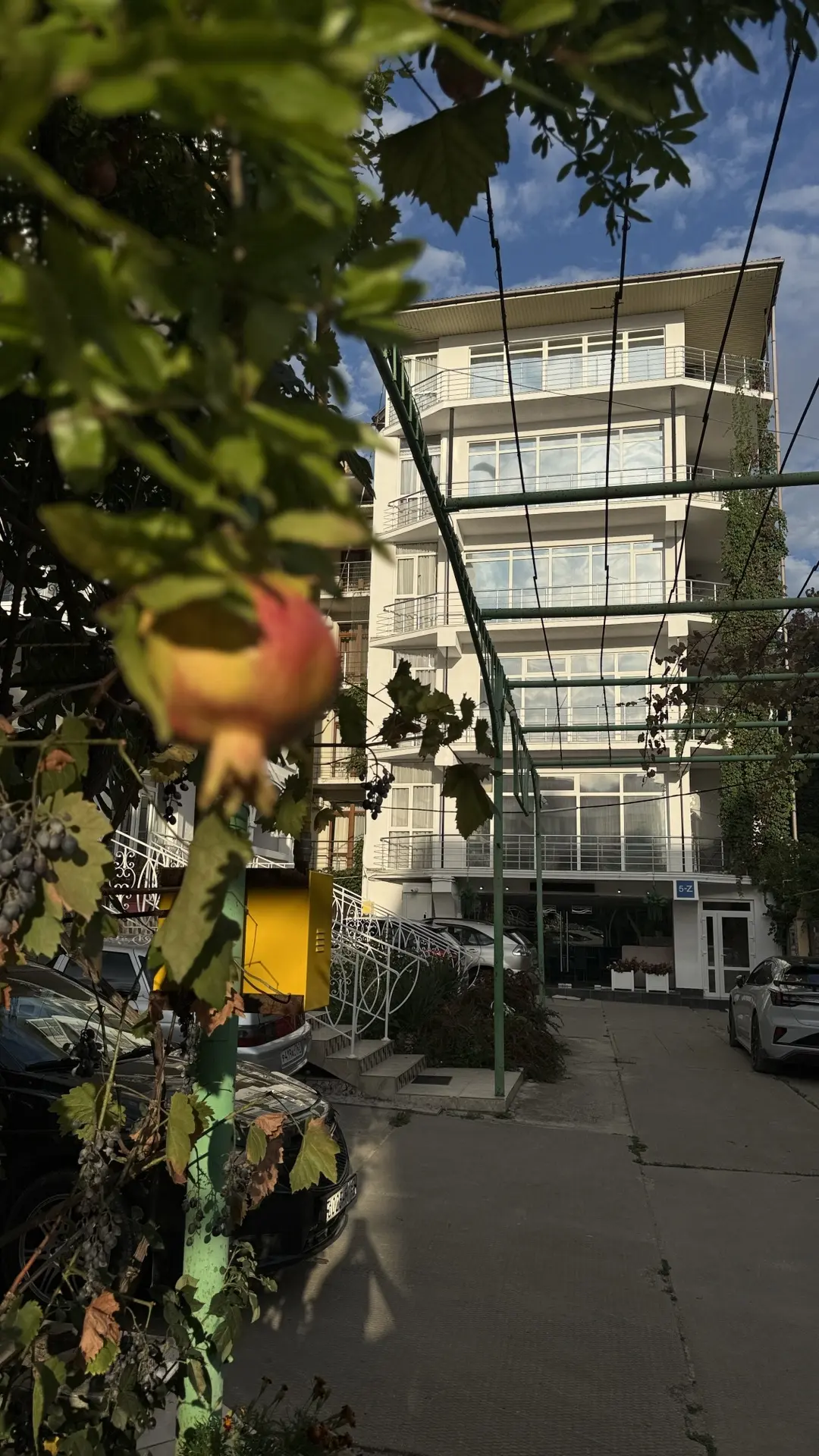 🏡🌊 Ещё раз хочу показать вам отель, в котором мы уже дважды останавливались в Коктебеле.
