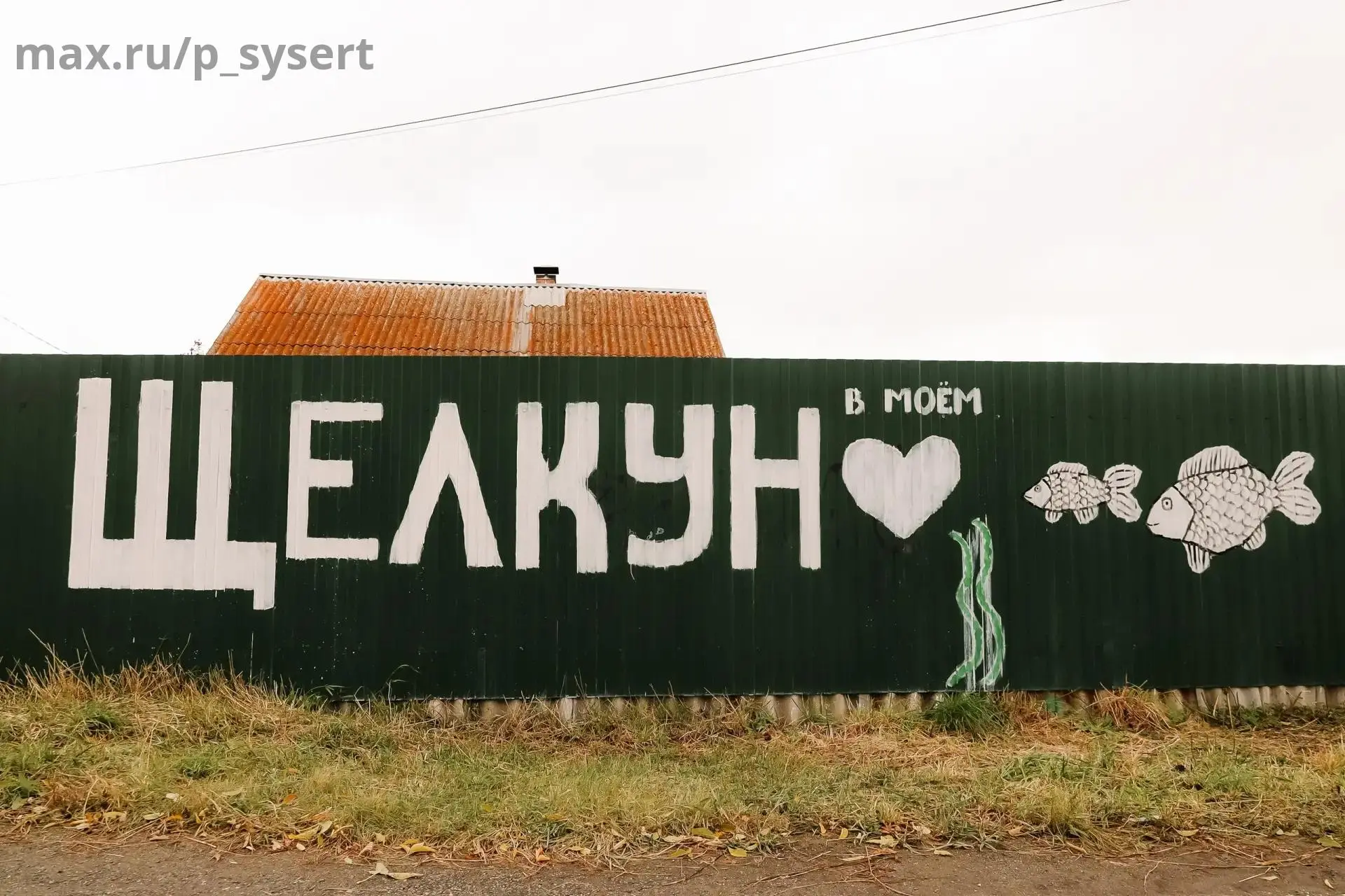 🐟В Щелкун приплыли... караси!