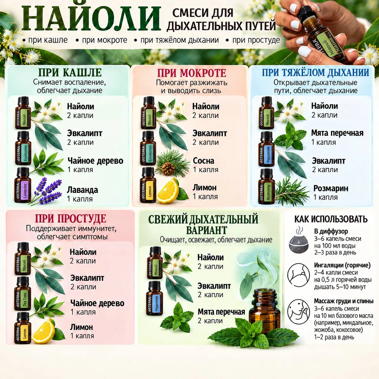Рецепты для дыхательных путей с маслом найоли 🌿🌿🌿