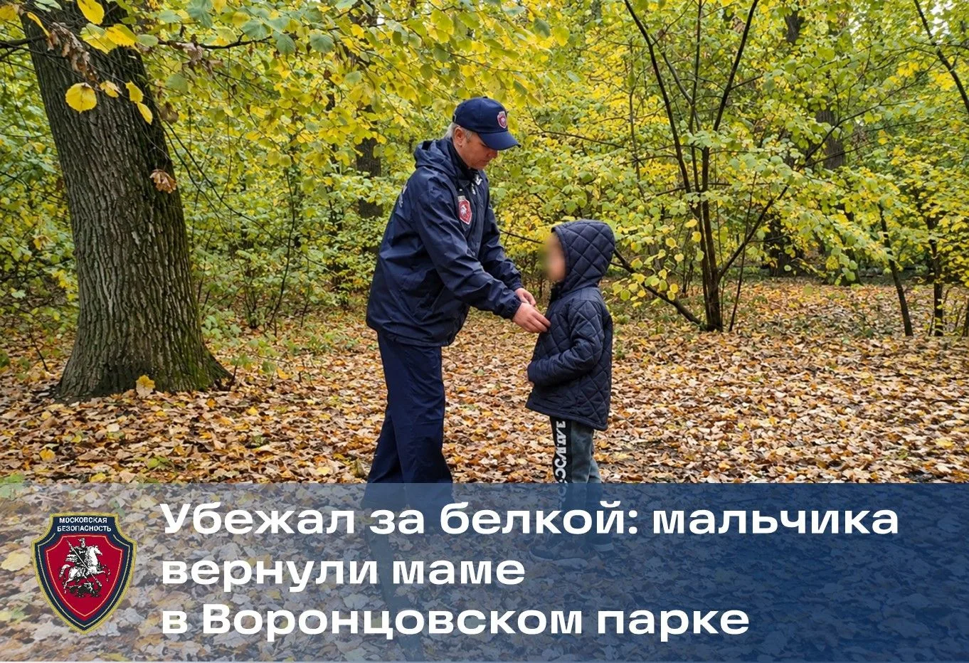 В Воронцовском парке мама с пятилетним сыном кормили белок. Она на минуту отвлеклась на...