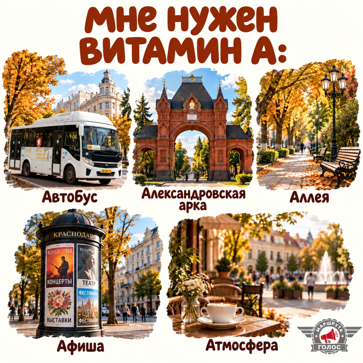 🍂 КРАСНОДАРСКИЕ ВИТАМИНЫ ДЛЯ ХОРОШЕГО НАСТРОЕНИЯ