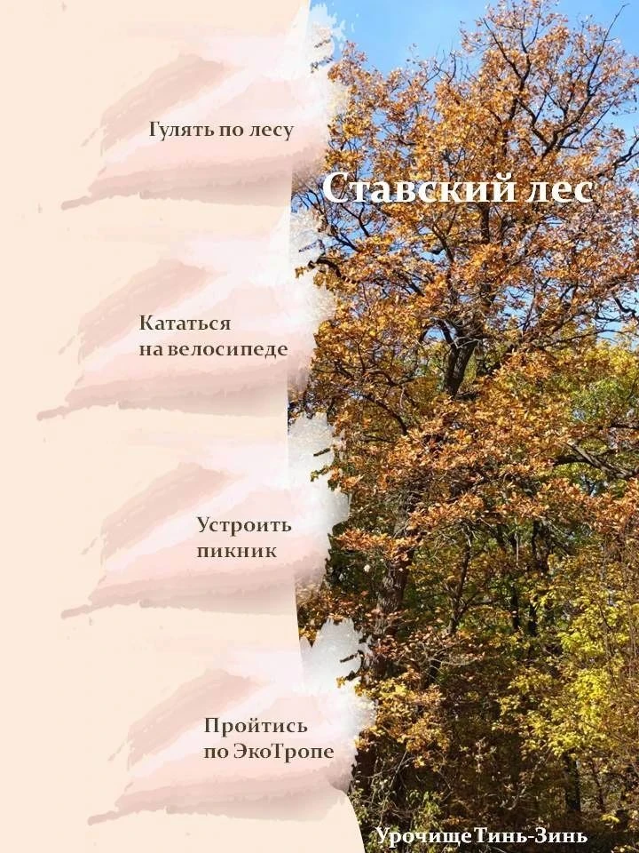 🍁 Золотая сказка в Энгельсе