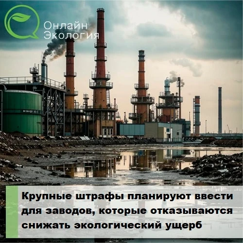 Даны разъяснения по вопросу оплаты коммунальной услуги по обращению с ТКО