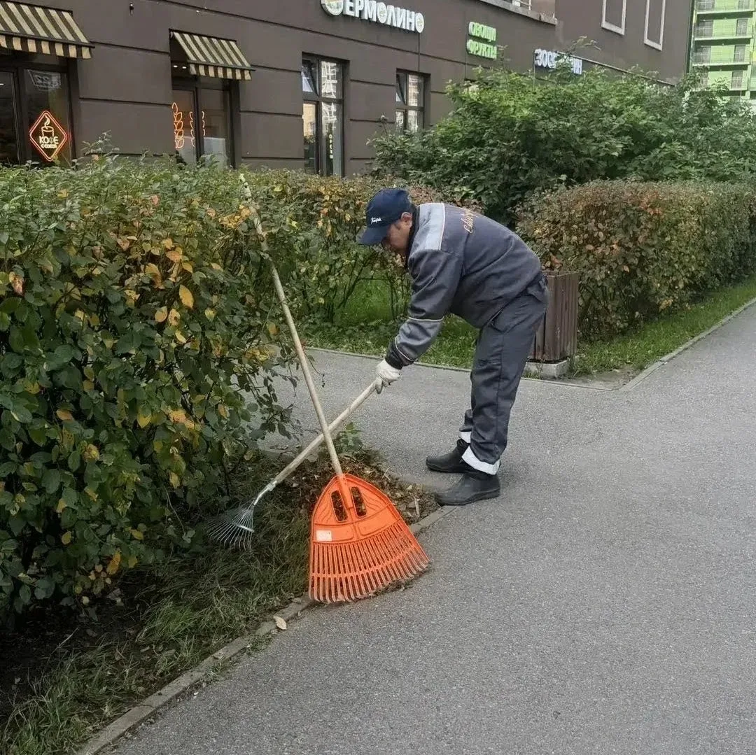 Причёсываем зелёные уголки и наводим порядок на территории ЖК 😁🌿