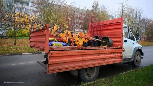 В Обнинске озеленили сквер на пересечении улиц Белкинской и Борисоглебской