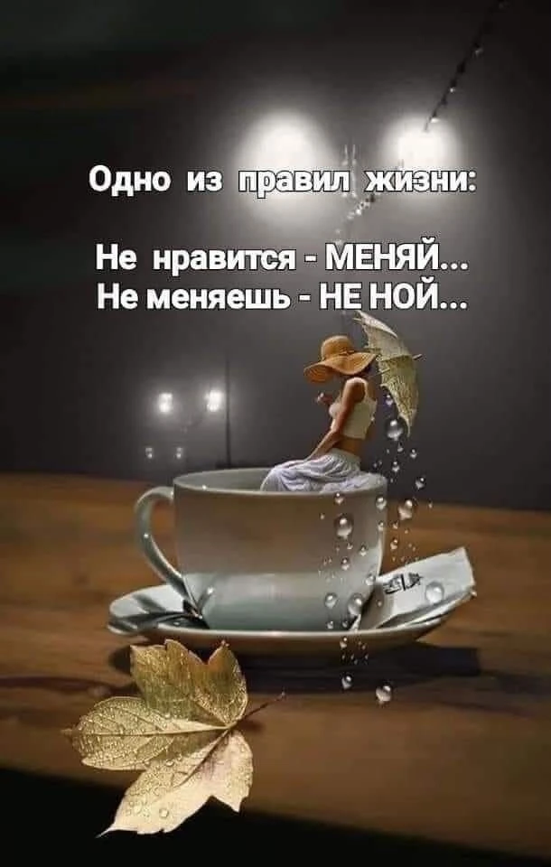 https://max.ru/channel_ch_60bc92b40f0994203ea1996a
