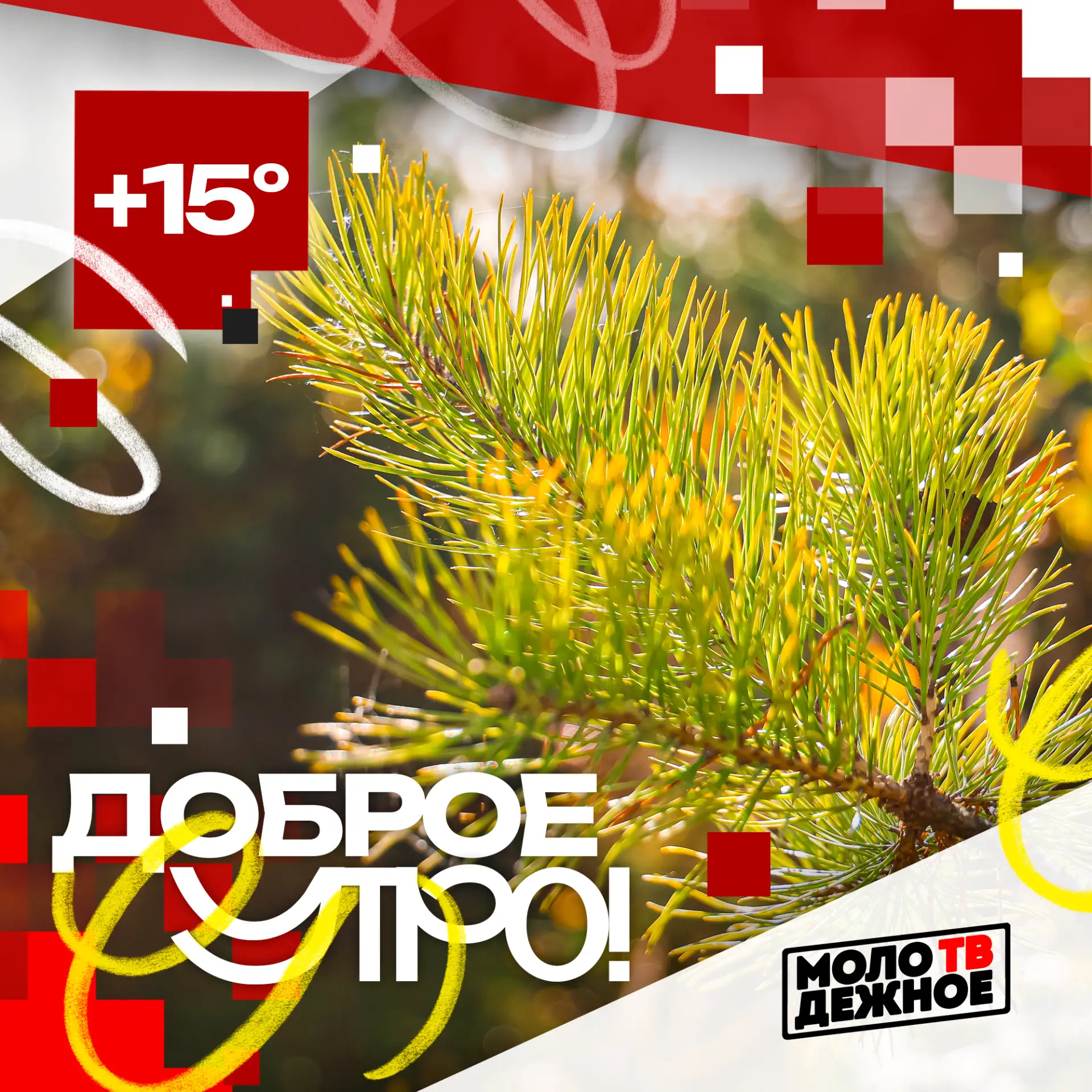 Доброе утро, родные!