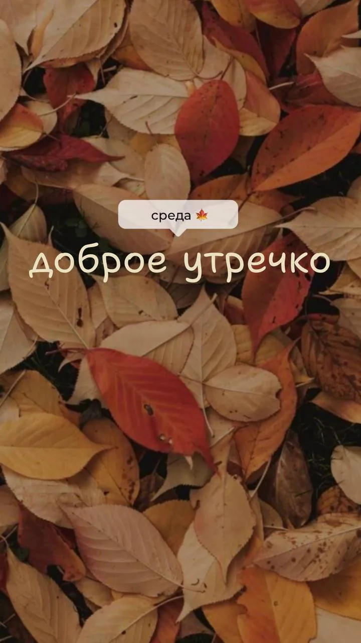 Хорошего дня)