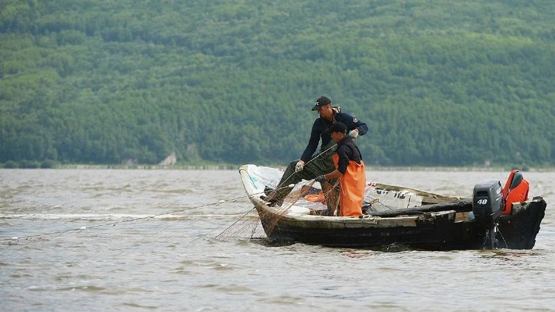🐟 Икра дорожает — но виноват не только слабый ход лосося