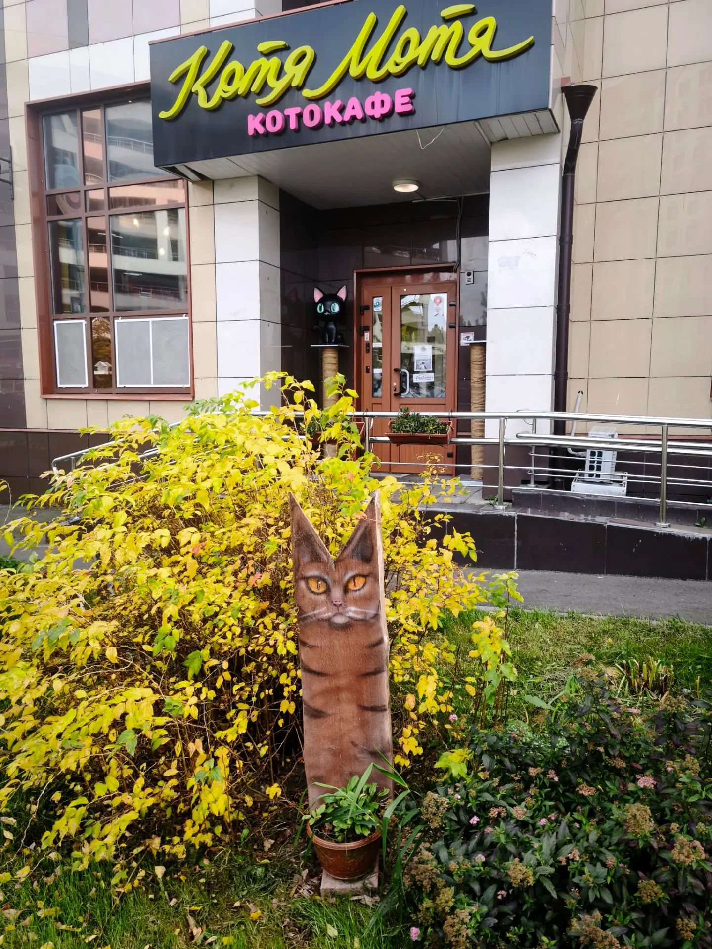 Вырвалась из дома на прогулку. Надо проветрить голову перед завтрашним днем😊.  Завтра ...