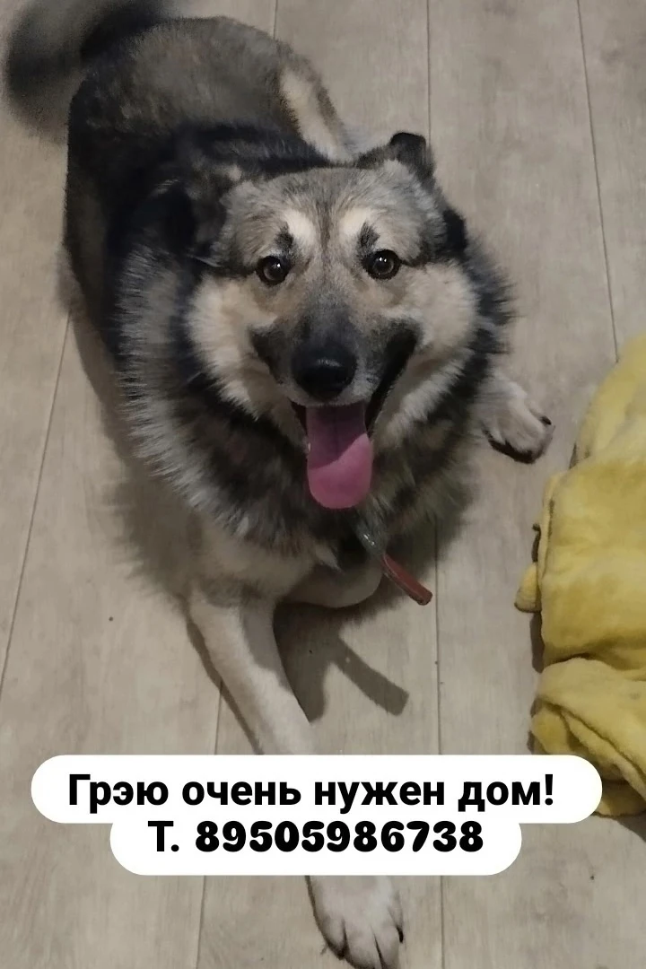 🆘🚨🆘🚨🆘🚨🆘🚨🆘🚨🆘
