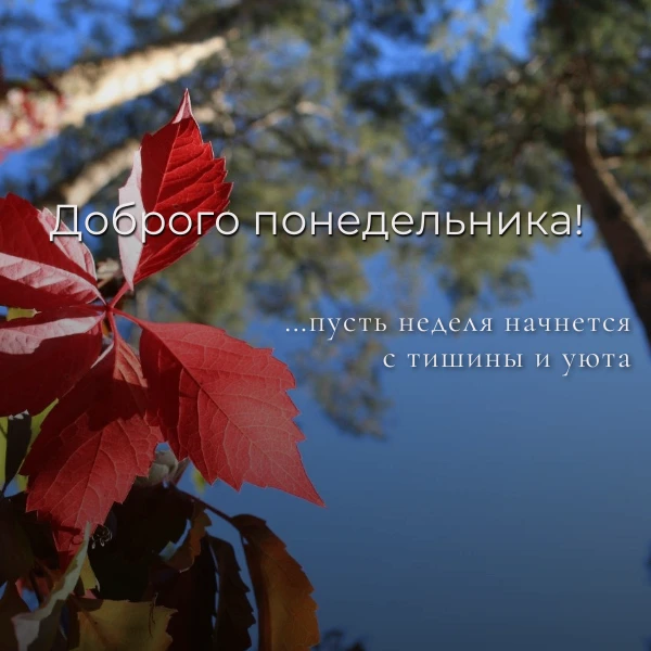 Понедельник часто кажется самым тяжёлым днём — будто нужно заново разгоняться после вых...