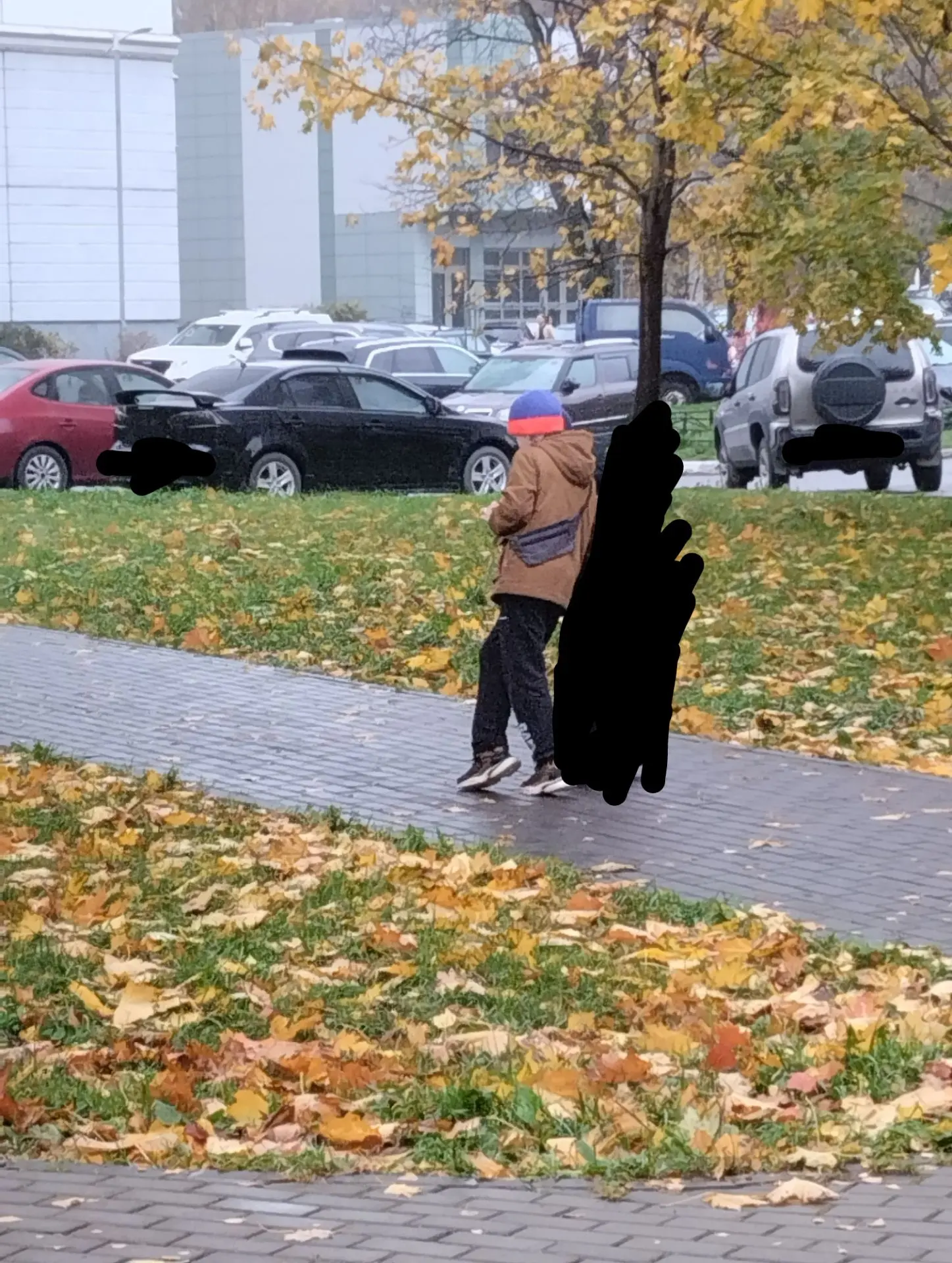Предложка: