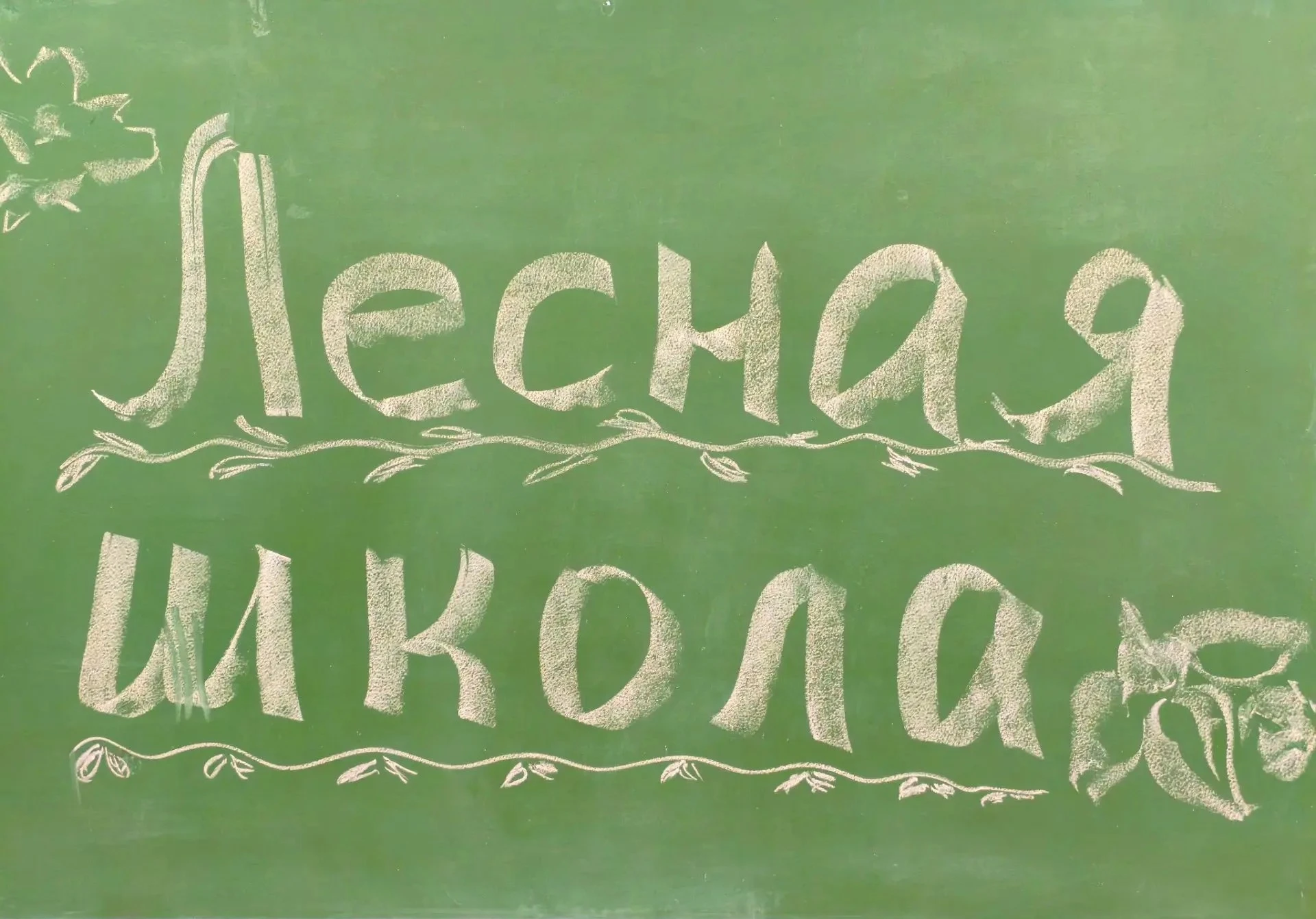 🌿 «Лесная школа»: когда обычный зал становится солнечной полянкой 🐻