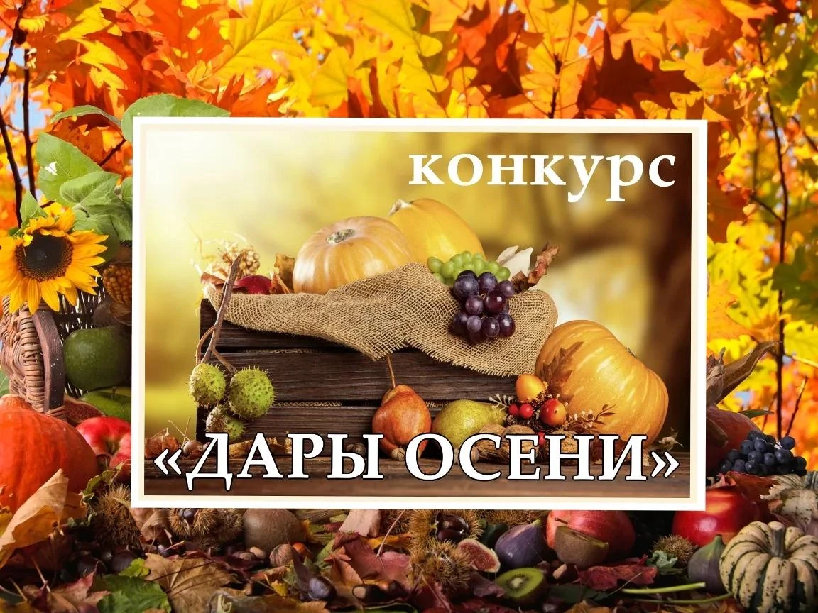 🍁 Настоящая осенняя сказка в группе «Рябинки»! (педагоги Титова А А., Никифорова Е.А.)