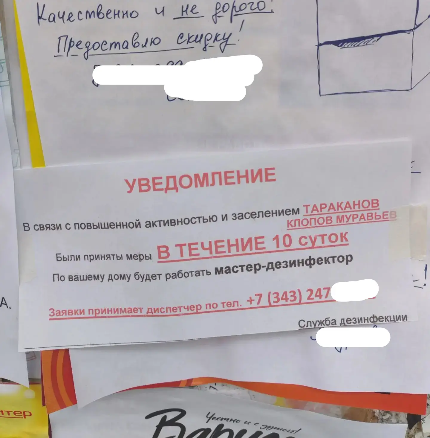 Увидели на подъезде самоклейку, теперь переживаем, что тараканы или клопы появятся в доме