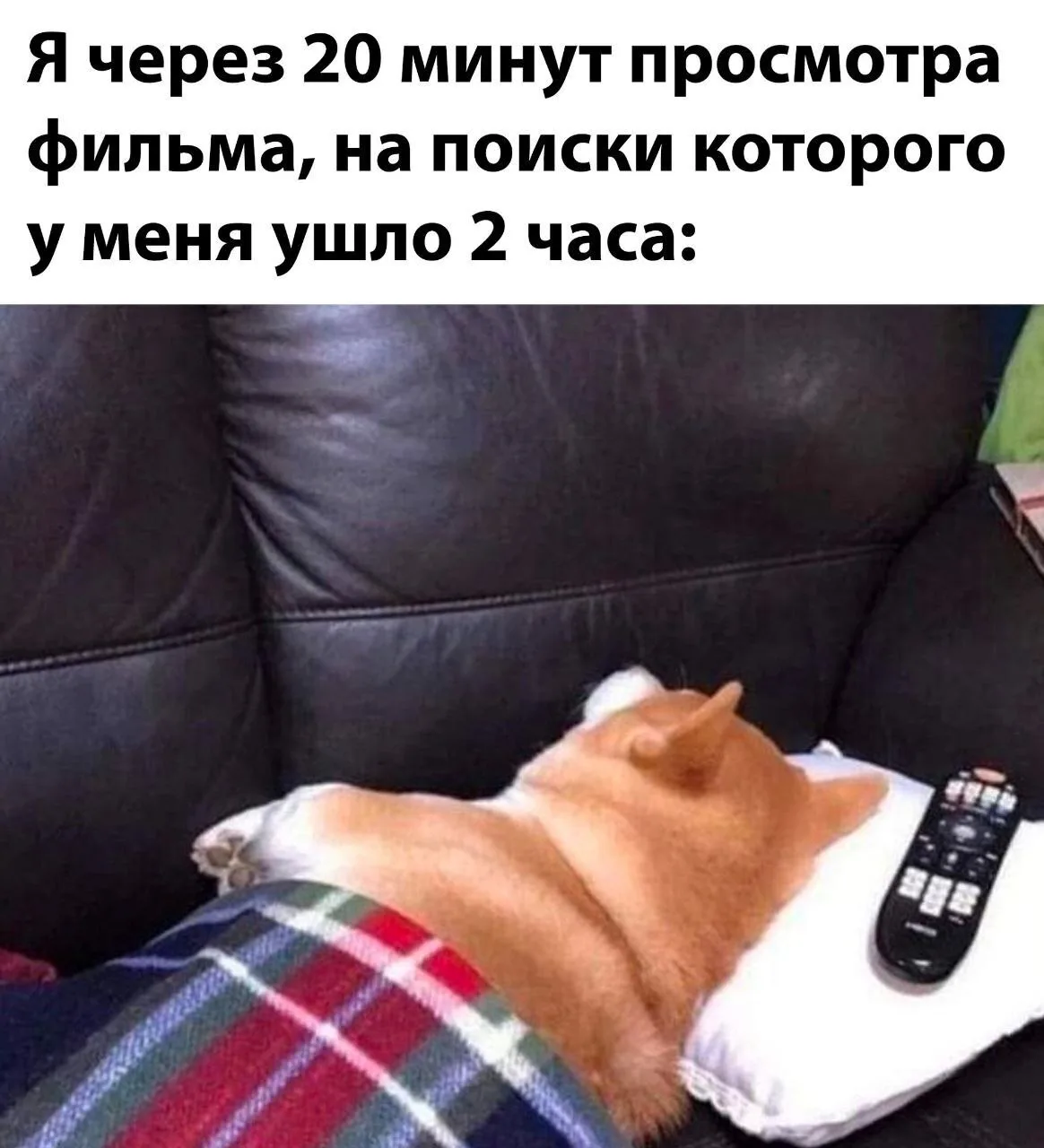 Подпишись на Приколиста