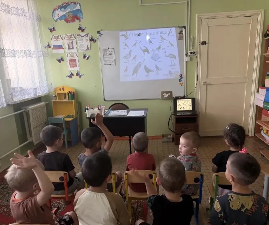 «Перелётные птицы» 🐦