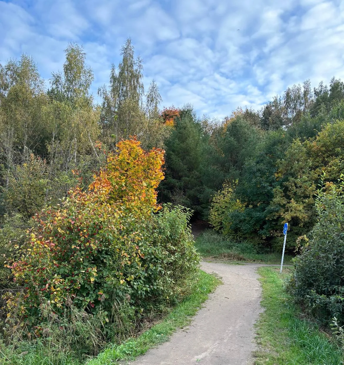 А вы любите осень? 🍁