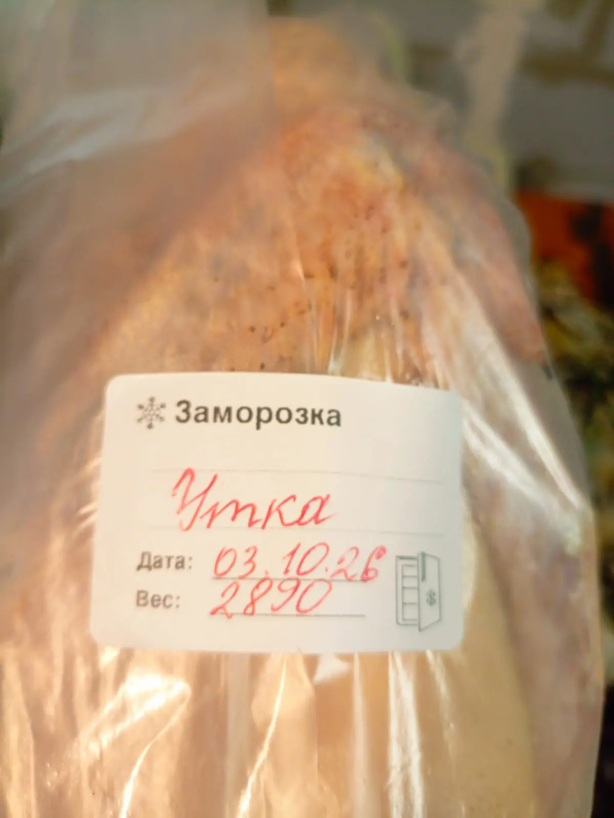 Продам утку домашнюю порода стар 53 и чери вели ,веса до 3 кг .