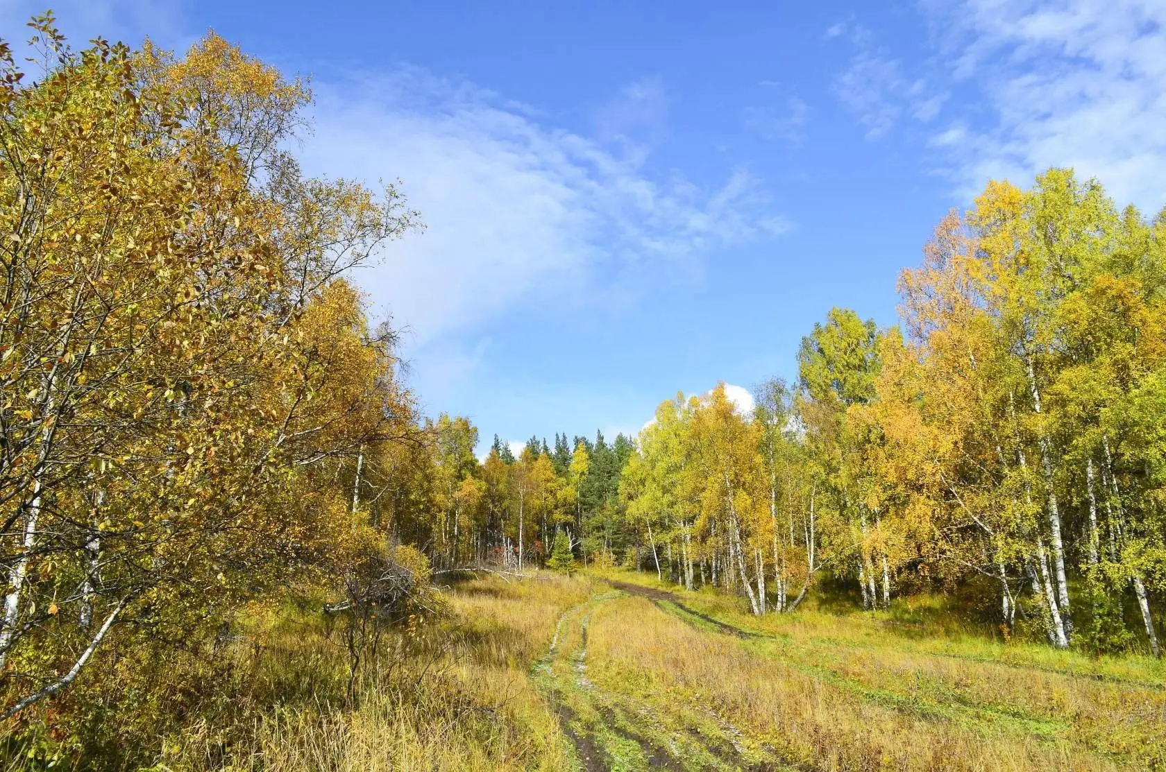 А листья всё летят,летят🍂🍂🍂. .Их ветер в прошлое уносит....И снова нам они твердят:"...