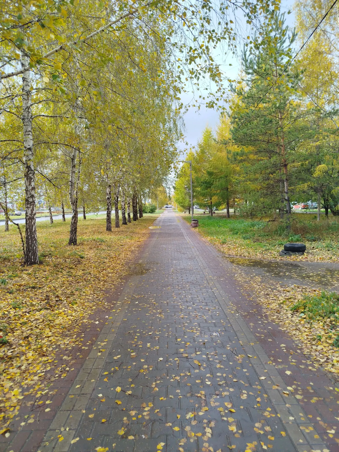 Autumn 🍂 déjà😭