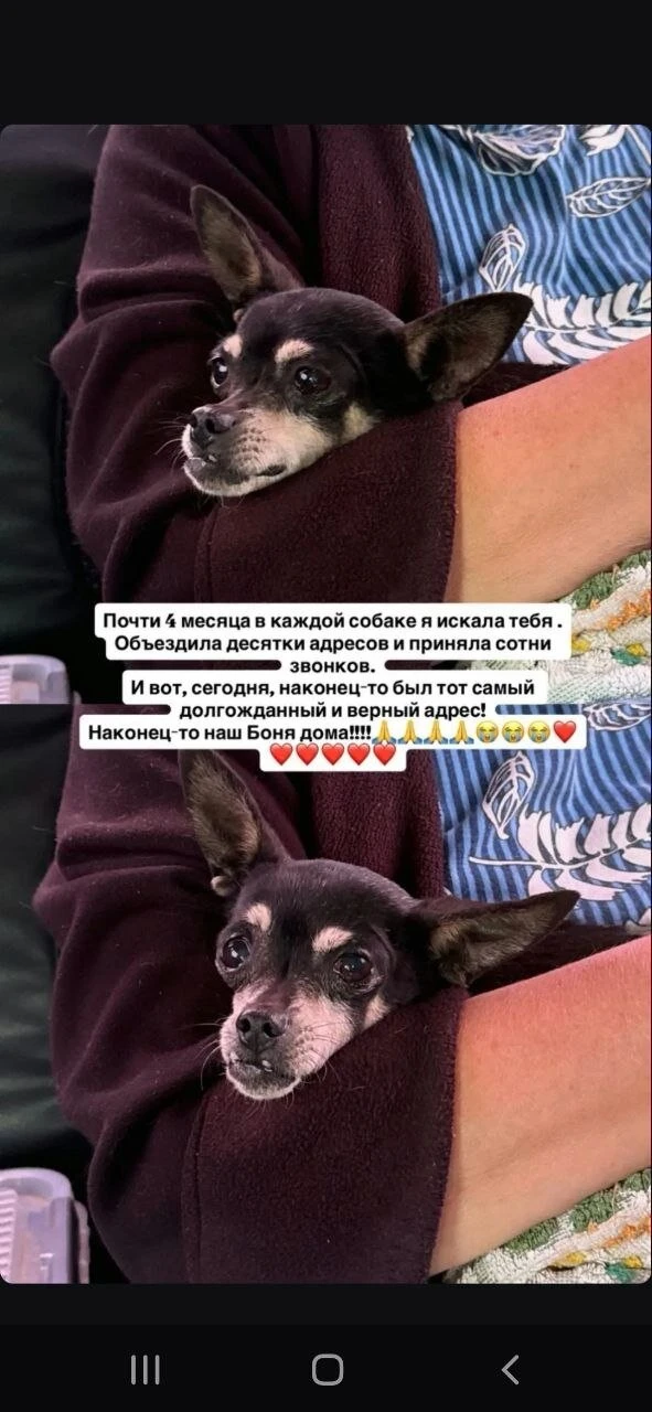 "Огромная благодарность вашему каналу "потеряшки Лабинска" Если бы не вы и ваши подписч...