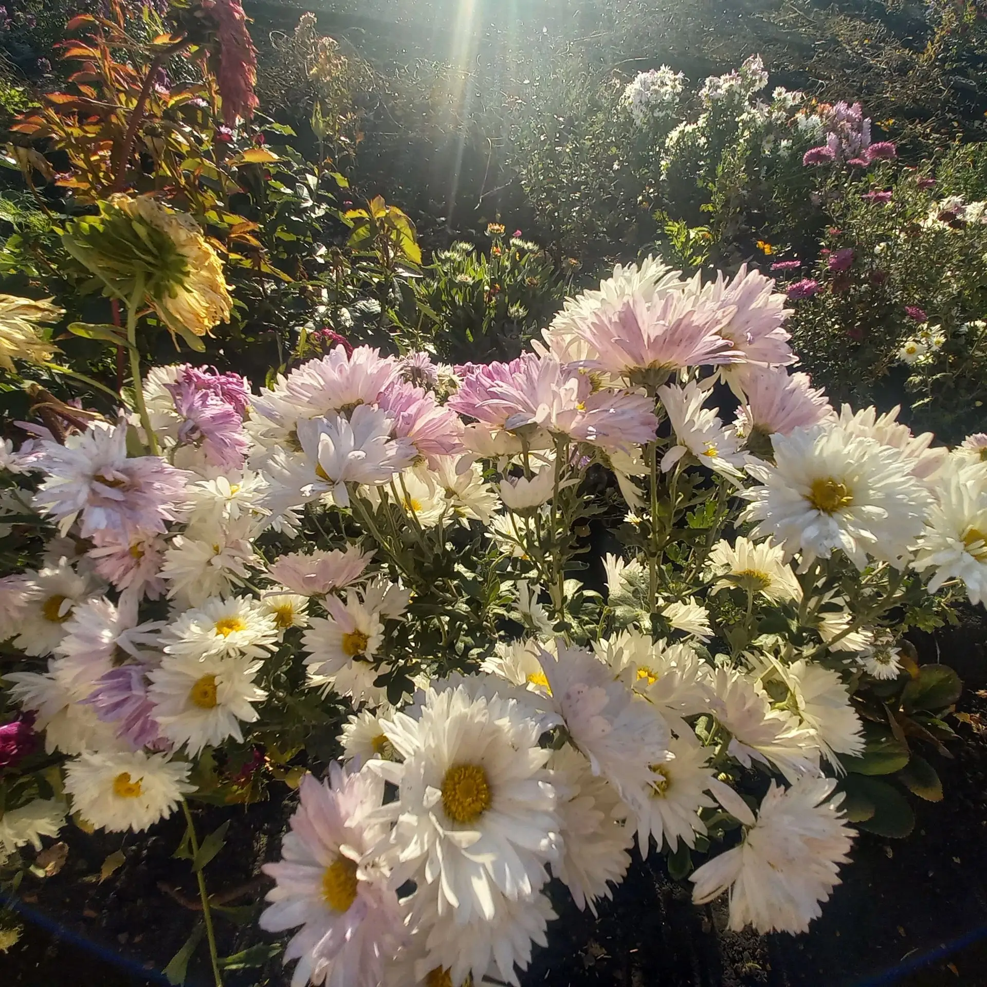 Сегодня  осадков не ожидается. ☀