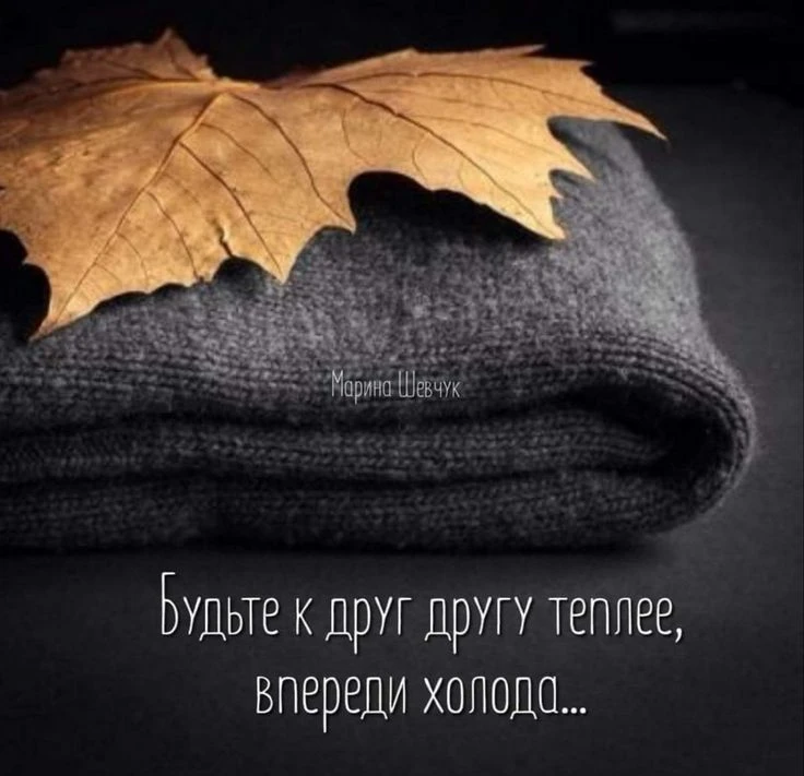 Безмятежной ночи❤