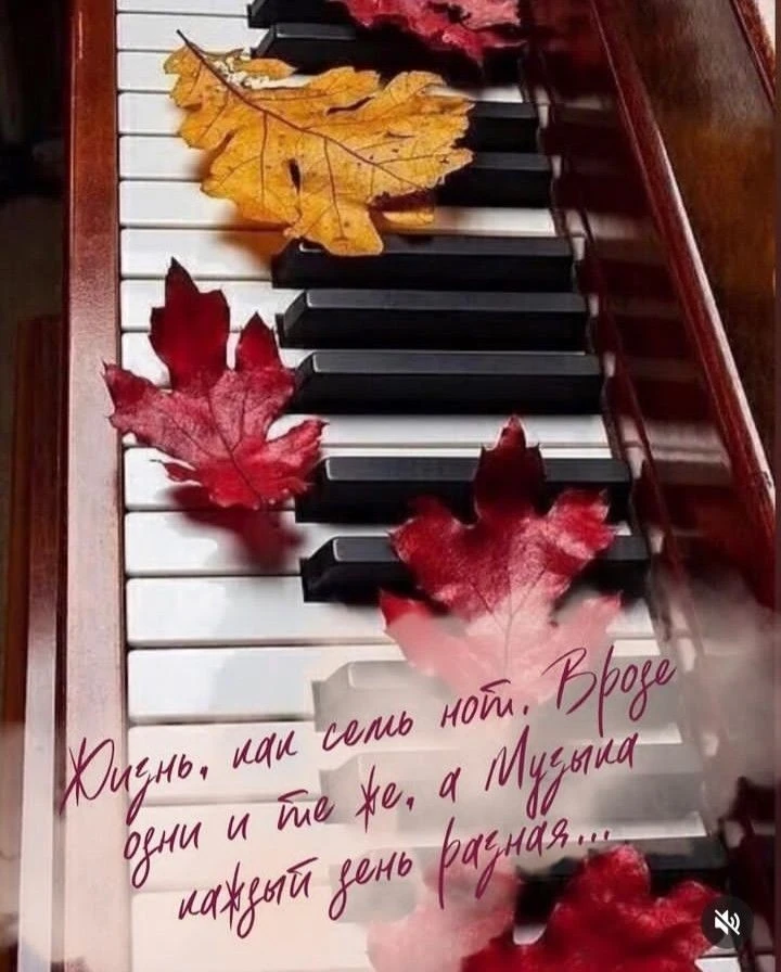 🍁🍁🍁