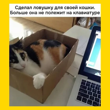 Полный Хохотамбл! Подпишись скорее