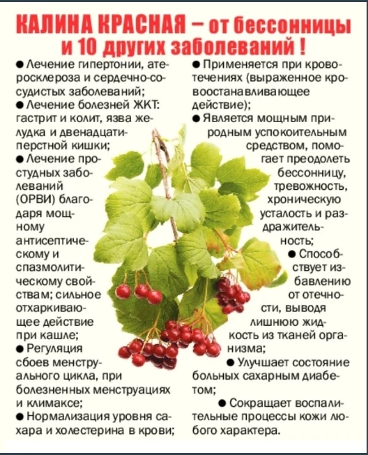 🍒 Рецепты с калиной 🍒