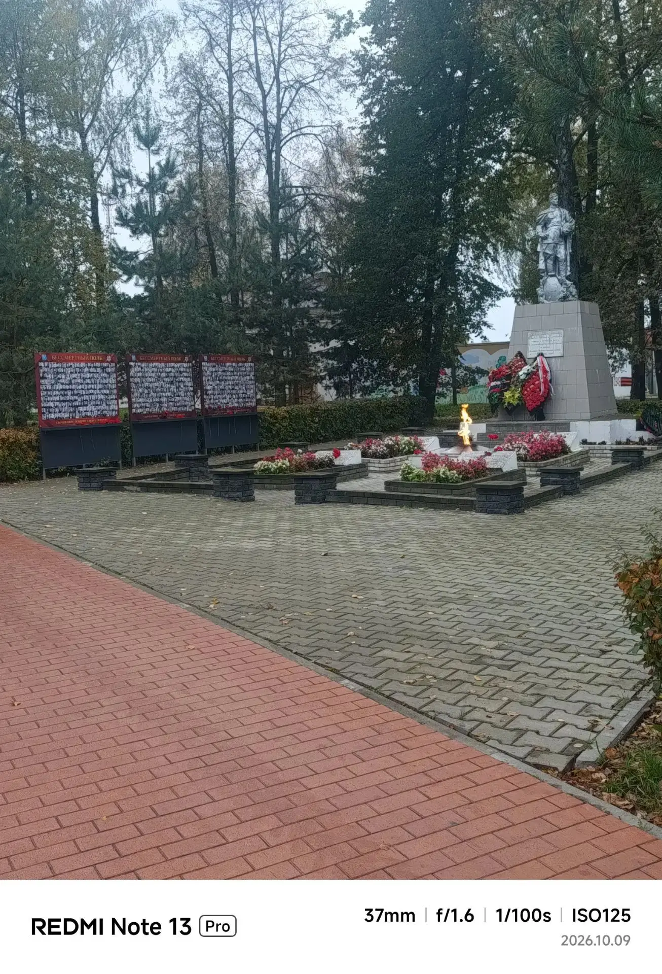 🌧 Доброе утро, Сычевка и округа!