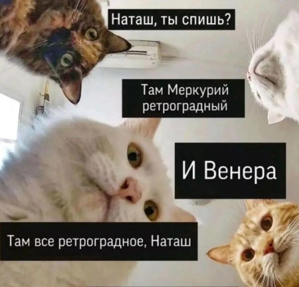 Ну что полетели? Ретро Венера  с 03.10-14.11 🙄🤯