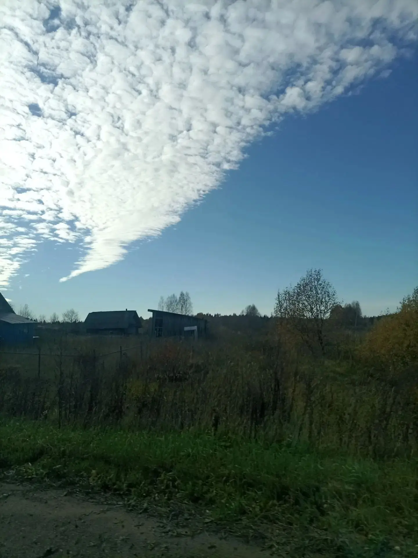 Немного красоты в ленту❤️                                           фото от подписчика