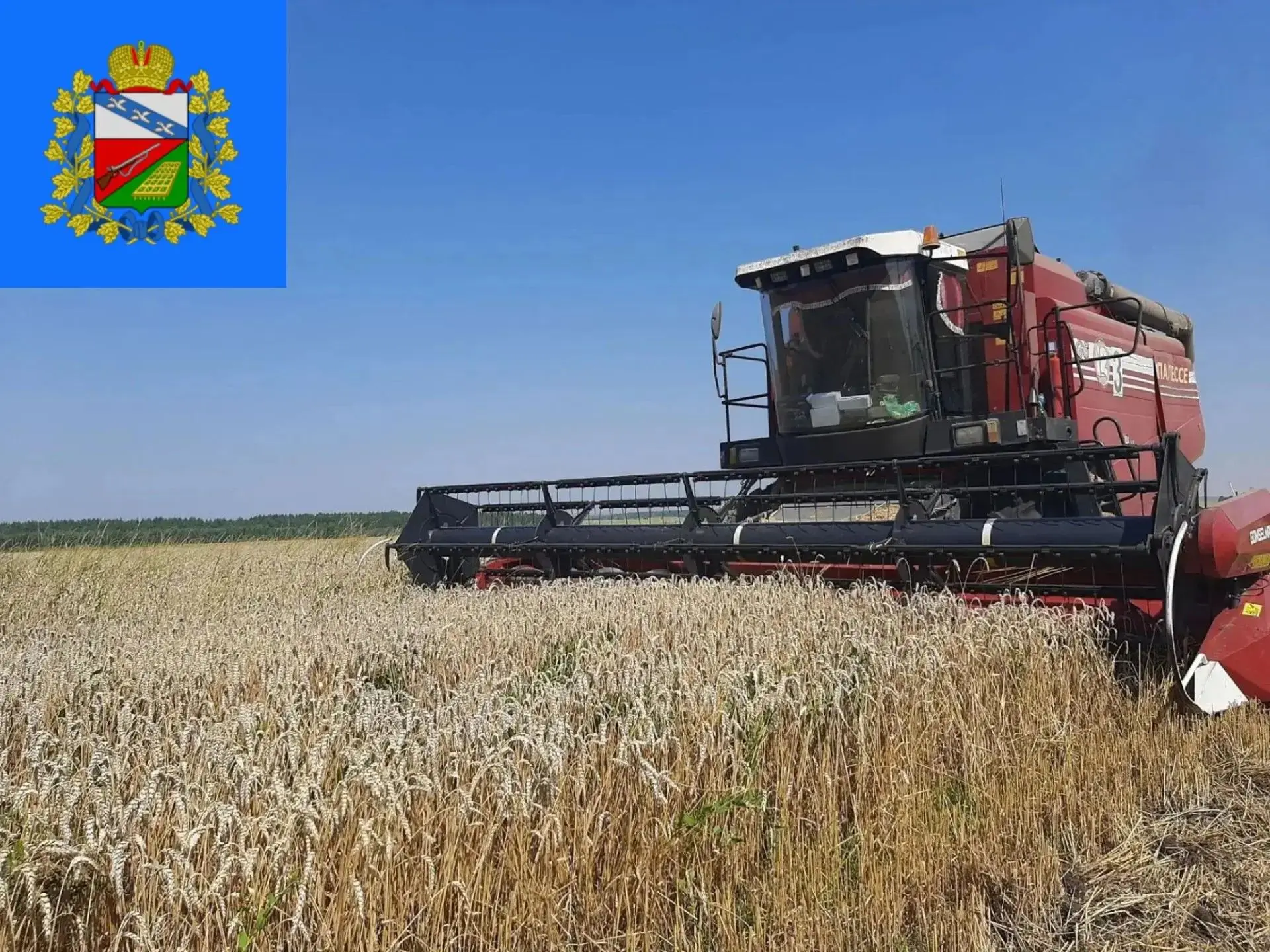 🌾Сегодня работники сельского хозяйства и перерабатывающей промышленности отмечают свой...