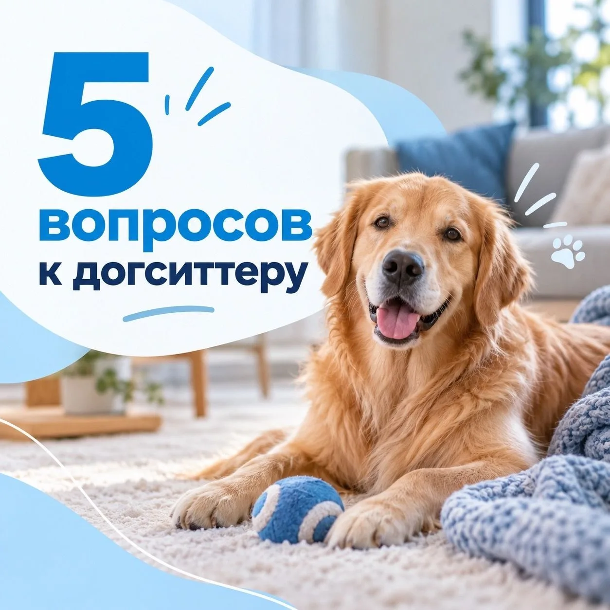 🐶ЧТО СТОИТ СПРОСИТЬ У ДОГСИТТЕРА ДО ПЕРВОЙ ВСТРЕЧИ?