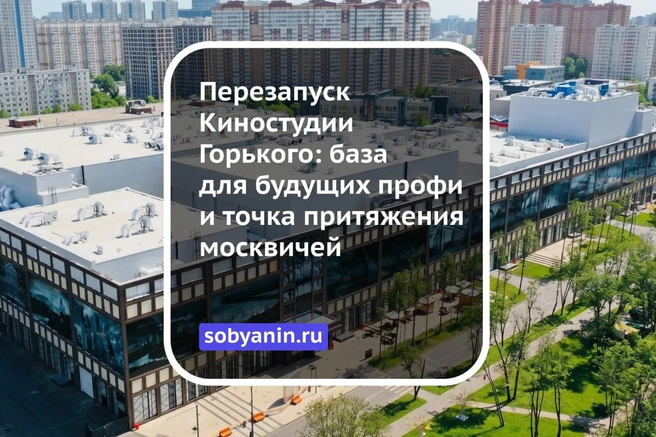 🎥 Киностудия Горького: новая глава большой истории