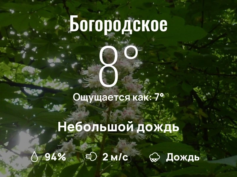 Что с погодой в Богородском?