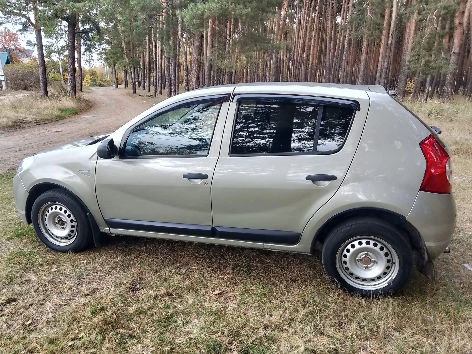 11 год